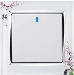 供應家裝墻壁開關(guān)插座，打造安全便捷生活空間